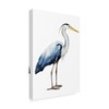 Trademark Fine Art Grace Popp 'Seabird Heron Ii' Canvas Art, 12x19 WAG07089-C1219GG
